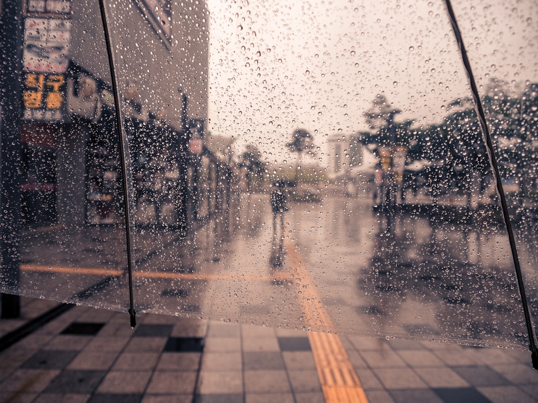 Musical style of rain in modern Japanese music